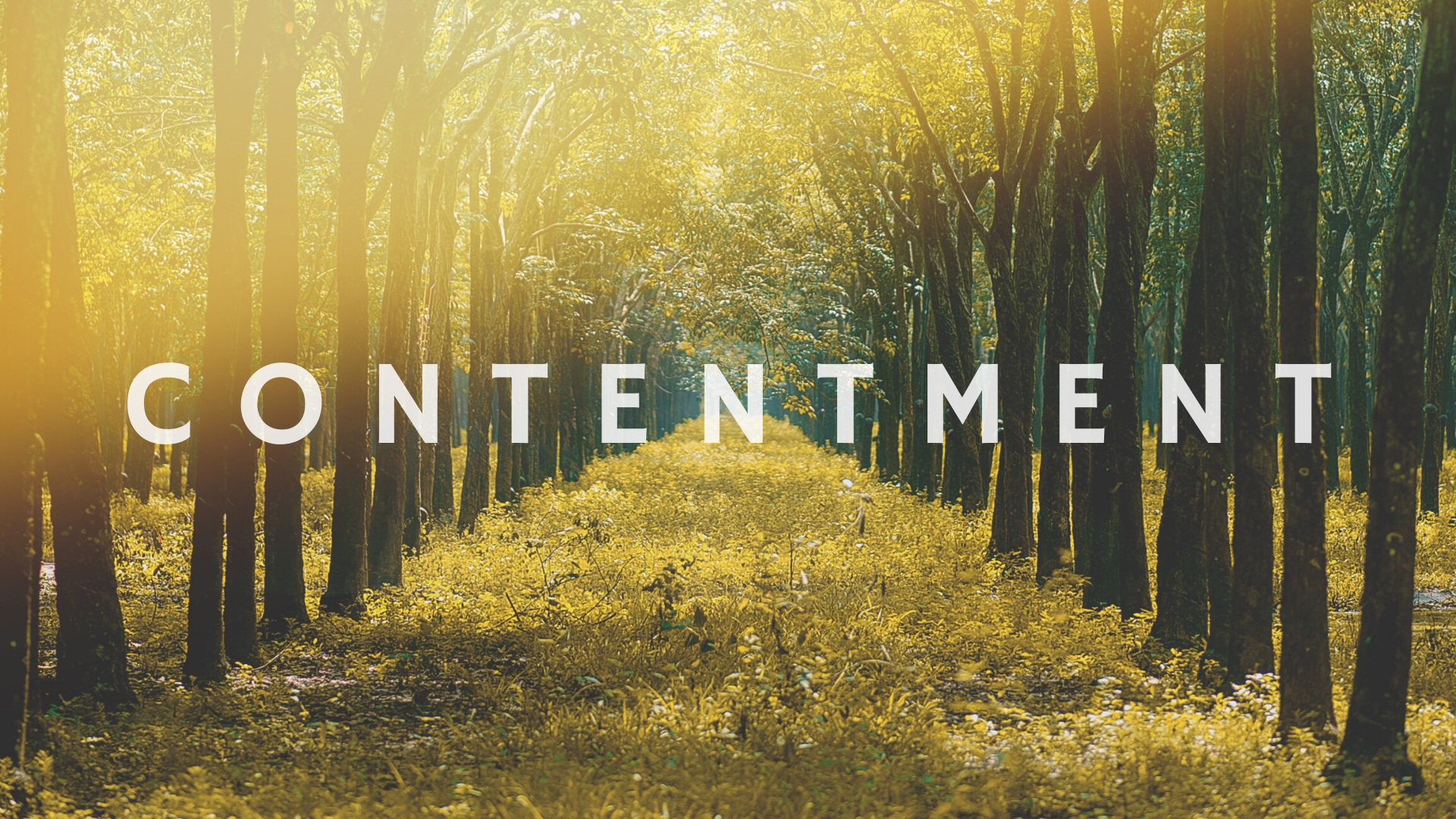 CONTENTMENT: SECRET OF A SECRET